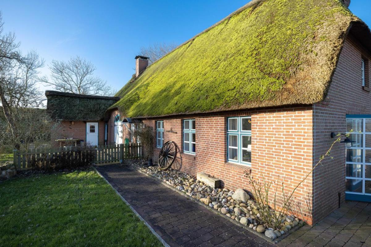 Villa Deichmuschel Woehrden Exterior foto